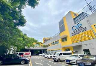 运城钙果树苗收购价格