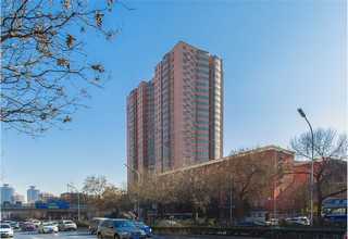 品质给袋式包装机厂家现货